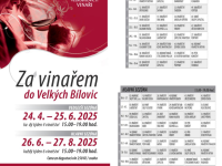 To the winemaker in Velké Bílovice in full swing!